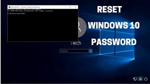 Password Recovery Software